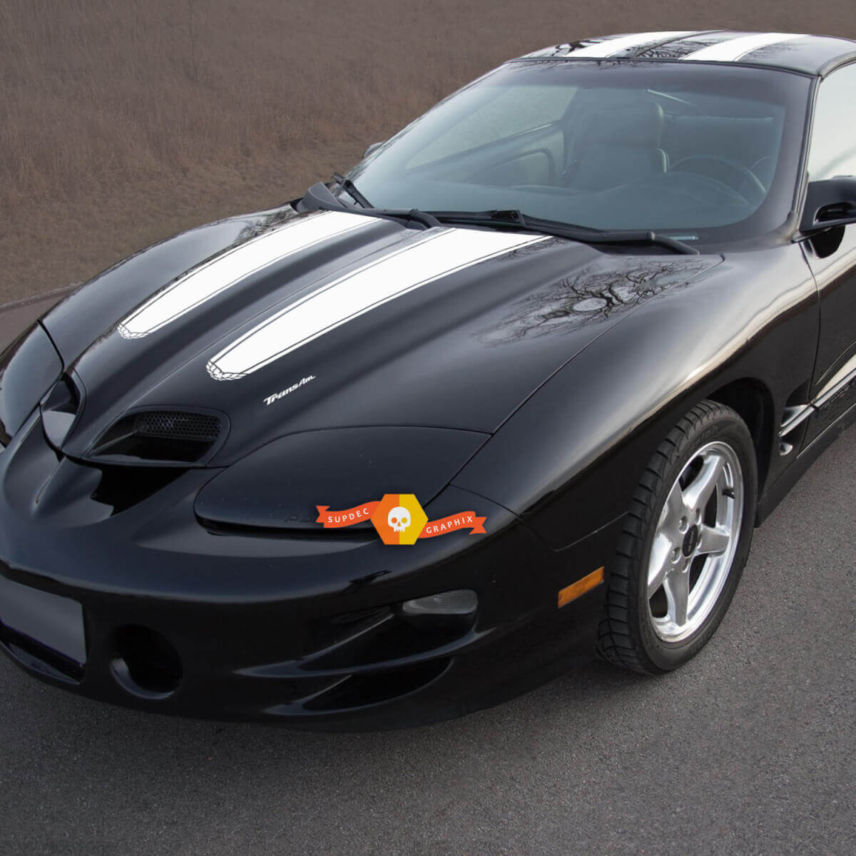 Doppelstreifen Haube Dach Heckklappe Vinyl-Aufkleber Set für Pontiac Firebird Trans Am