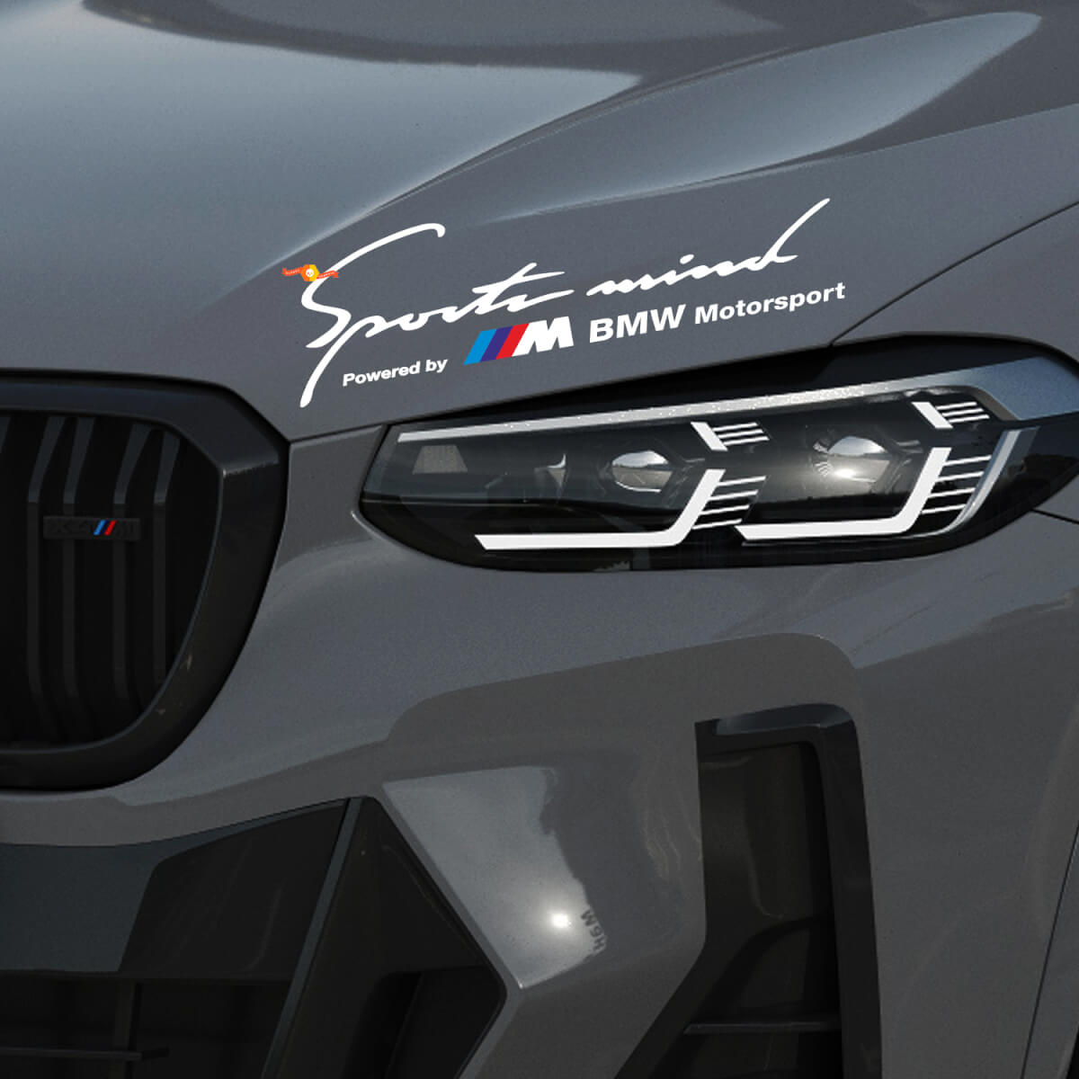 2 Sportlicher Geist Power von M BMW Motorsport M3 M5 M6 E36 Aufkleber Decal
