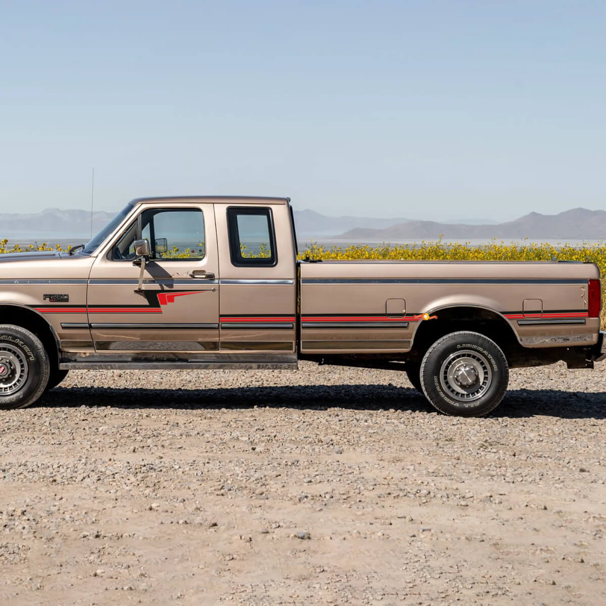 Retro Pin-Streifen-Streifen-Aufkleber-Kit - Seitenwand Vinyl-Aufkleber-Set Seiten-Designs für Ford F250 1992 Super Cab