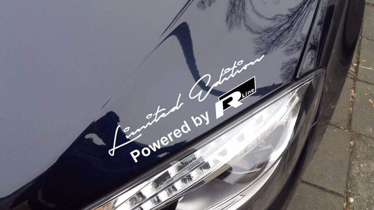 Paar Limited Edition R-Line Style Aufkleber für Volkswagen Touareg Beetle Passat