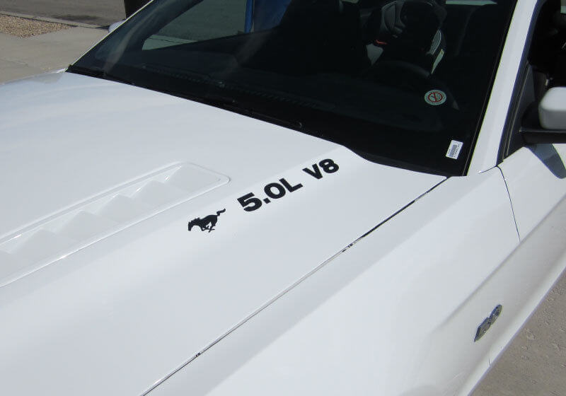 Musclecar Musclecarmodel 5.0 V8 MIT PONY HAUBENAUFKLEBERPAAR 2011–2020 VINYLAUFKLEBER