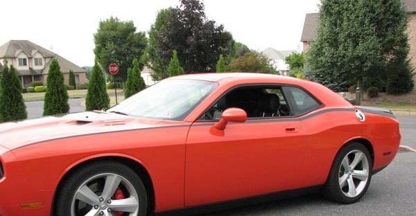 2008 und höher Dodge Challenger Pinstripe Bodyline Seitenstreifen-Kit
