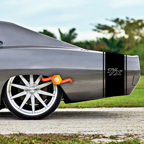 T/X Twin Pinstripe Tail Band Hinterer Kotflügel Kofferraum Vinylaufkleber für Dodge