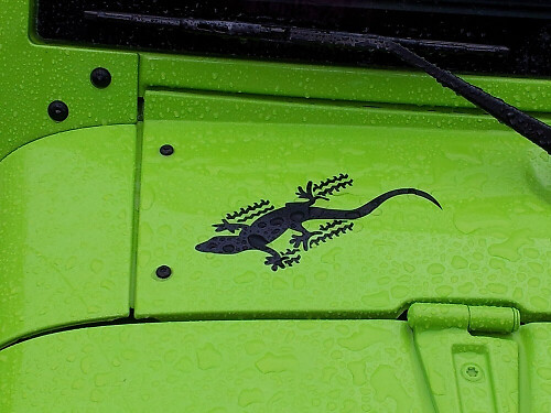 Gecko Seiten-Vinylaufklebersatz für Jeep Wrangler