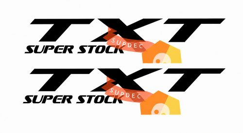 TXT Super Stock Lettering — Vinyl-Aufkleber (Seite) für Dodge Charger SRT