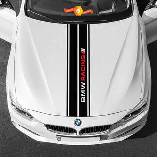 Vinyl-Aufkleber, grafische Aufkleber, BMW-Motorhaube in der Mitte, BMW-Rennpalette 2022
