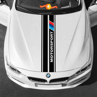 Vinyl-Aufkleber, grafische Aufkleber, BMW Motorhaube in der Mitte, BMW Motorsport 2022

