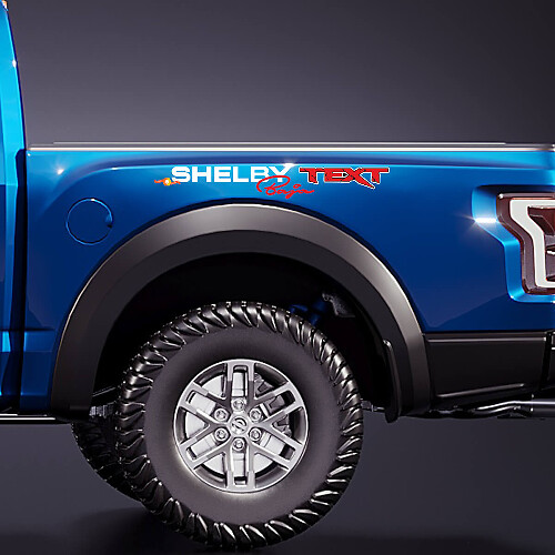 Kit mit Shelby Baja Edition Logo Seitenbett-Grafikaufkleber für Ford F-150 Raptor