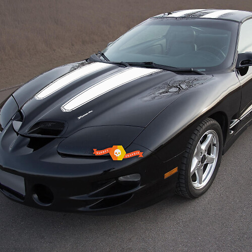 Doppelstreifen Haube Dach Heckklappe Vinyl-Aufkleber Set für Pontiac Firebird Trans Am_1