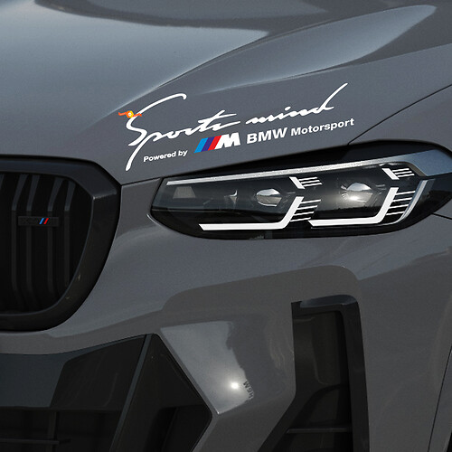 2 Sportlicher Geist Power von M BMW Motorsport M3 M5 M6 E36 Aufkleber Decal
