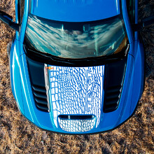 Dinosaur Skin benutzerdefinierter Text Motorhauben-Vinylaufkleber für Dodge Ram Rebel 1500 TRX_2