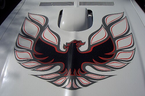 Bird Hauben-Vinylaufkleber für Pontiac Firebird Trans Am