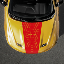 Honigwaben-Custom-Text-Motorhauben-Streifen-Aufkleber für Dodge Hornet_2
