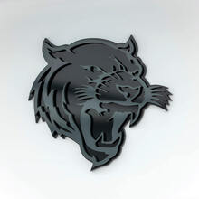 Helltiger Tiger 3D Badge Fender Badges Emblem 2
 4