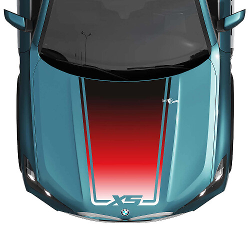 BMW X5 G05 Hood Wrap Accent Central Aufkleber – Vinyl-Grafikaufkleber
