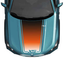 BMW X5 G05 Hood Wrap Accent Central Aufkleber – Vinyl-Grafikaufkleber
 2