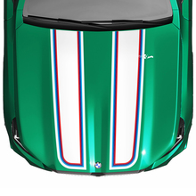Stripes Racing M-Farben Checkered Flag-Motorhaubenaufkleber für BMW 5er G60 M5 G90
 2