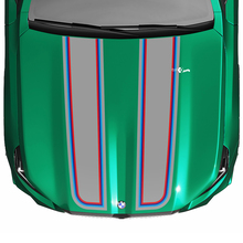 Stripes Racing M-Farben Checkered Flag-Motorhaubenaufkleber für BMW 5er G60 M5 G90
 3