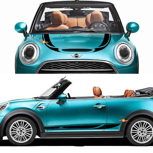 Mini John Cooper arbeitet AC Schnitzer Motorhaube und Seitentüren Streifen Rallye und Grafikaufkleber 2
