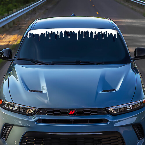 Hornet Hash Windschutzscheibe Stripe Banner Aufkleber - benutzerdefinierte Vinylgrafik für Ausweichen Hornet
