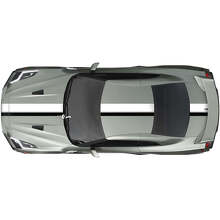 Ganzkörper Dual Racing Stripes Decal Kit für Nissan GT-R
 2