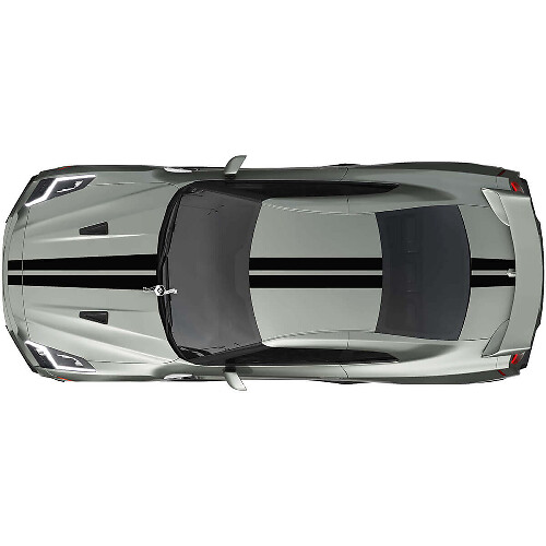 Komplettes Dual Racing Streifen Aufkleber Set 2 für Nissan GT-R