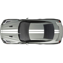 Ganzkörper Dual Racing Stripes Decal Kit für Nissan GT-R
 2