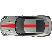 Ganzkörper Dual Racing Stripes Decal Kit für Nissan GT-R
 3