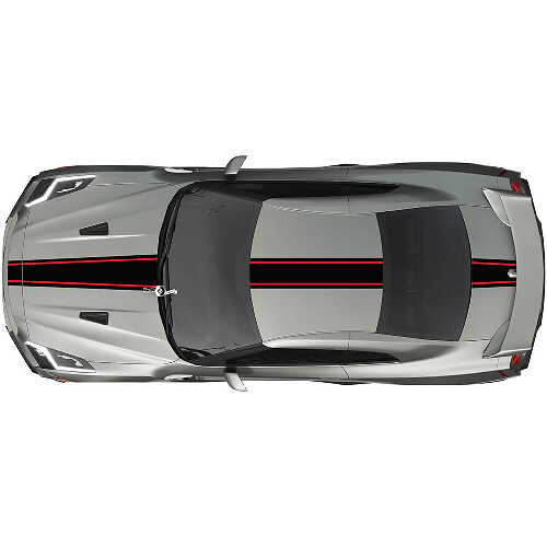 Full Body Pin Racing Stripes Decal Kit für Nissan GT-R 2

