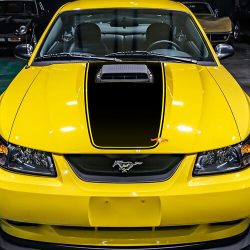 Ford Mustang Mach 1 Hood Decal Car Vinyl Aufkleber
