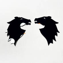 Bronco Fender Abzeichen Heckklappe Emblem 3D -Abzeichen
 10