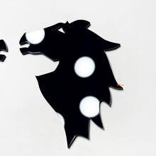 Bronco Fender Abzeichen Heckklappe Emblem 3D -Abzeichen
 9