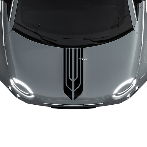 500 Dual Central Hood Stripe Decal Sticker Graphics für Fiat 500
 1
