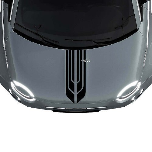 500 Dual Central Hood Stripe Decal Sticker Graphics für Fiat 500
