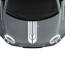 500 Dual Central Hood Stripe Decal Sticker Graphics für Fiat 500
 2