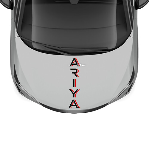 Motorhaube mit zweifarbigen Streifen Racing Grafik Aufkleber für Nissan ARIYA
 1