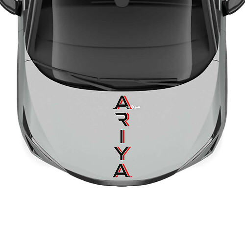 Motorhaube mit zweifarbigen Streifen Racing Grafik Aufkleber für Nissan ARIYA
