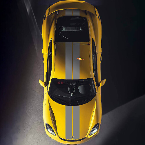 Doppelte Motorhauben-Dachstreifen-Aufkleber für Porsche Cayman 718
