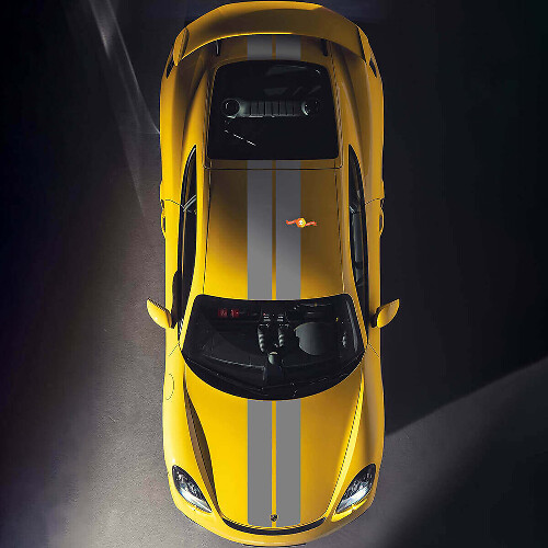 Doppel-Rennstreifen Vinyl-Set für Motorhaube und Dach für Porsche Cayman 718