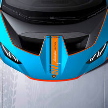 Motorhaube Zentrale karierte Streifen Racing Vinyl Aufkleber Grafiken für Lamborghini STO
 3