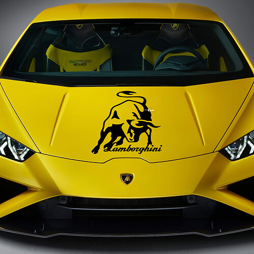 Seitenheckkotflügel Bull Graphics Racing Vinyl Aufkleber Grafiken für Lamborghini Huracan Evo
 1