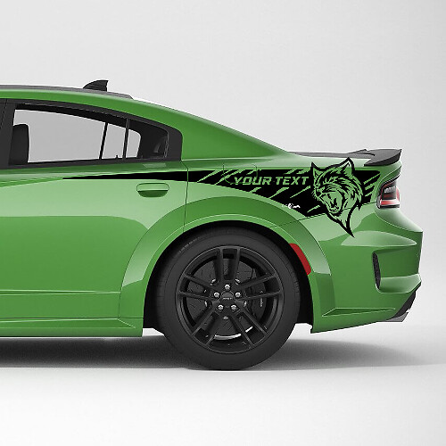 Hellcat Benutzerdefinierte Heckkotflügel Seitenstreifen Vinylaufkleber Kit für Dodge Charger