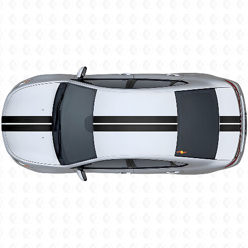 Doppelter Mittelstreifen Kontur Vinyl-Aufkleber-Kit für Oberseite für Dodge Dart 2013+