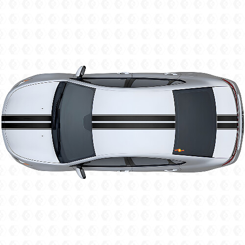 Doppelstreifen Oberes Seiten-Vinylaufkleber-Set für Dodge Dart 2013+