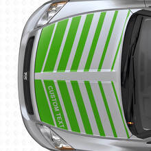 Individuelles Doppel-Strobe-Streifen Motorhauben Vinyl-Aufkleber-Set für Dodge Caliber 2007+_3