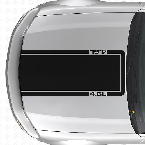 4,6L Motorhauben-Konturstreifen Vinyl-Aufkleber für Musclecar Musclecarmodel Mach 1 2005-09