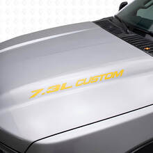 Neuer 7,3L POWERSTROKE Motorhaubenaufkleber, Emblem-Stil, Aufkleber für Musclecar F250 F350 Turbo Diesel
_6
