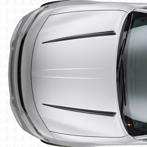 Doppelte Tnin-Streifen Motorhaubenaufkleber Vinylaufkleber für Dodge Charger 2015-2026