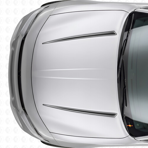Doppelte Tnin Umrissstreifen Motorhauben-Vinylaufkleber für Dodge Charger 2015-2026