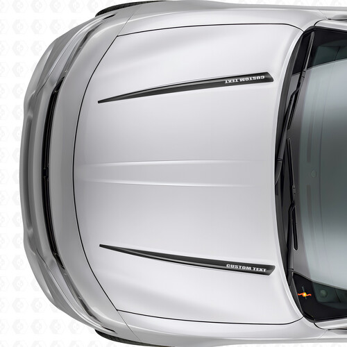 Duale individuelle Streifen Motorhauben Vinylaufkleber für Dodge Charger 2015-2026